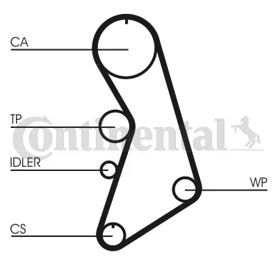 Water Pump & Timing Belt Kit